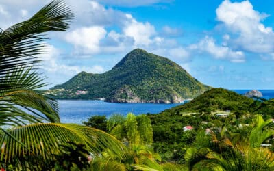 Medic de Medicina Muncii – O Oportunitate Excelentă în Guadelupa!